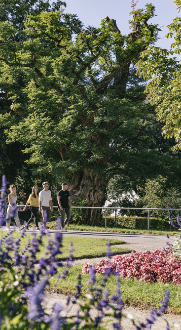 Baroque gardens next to the residence