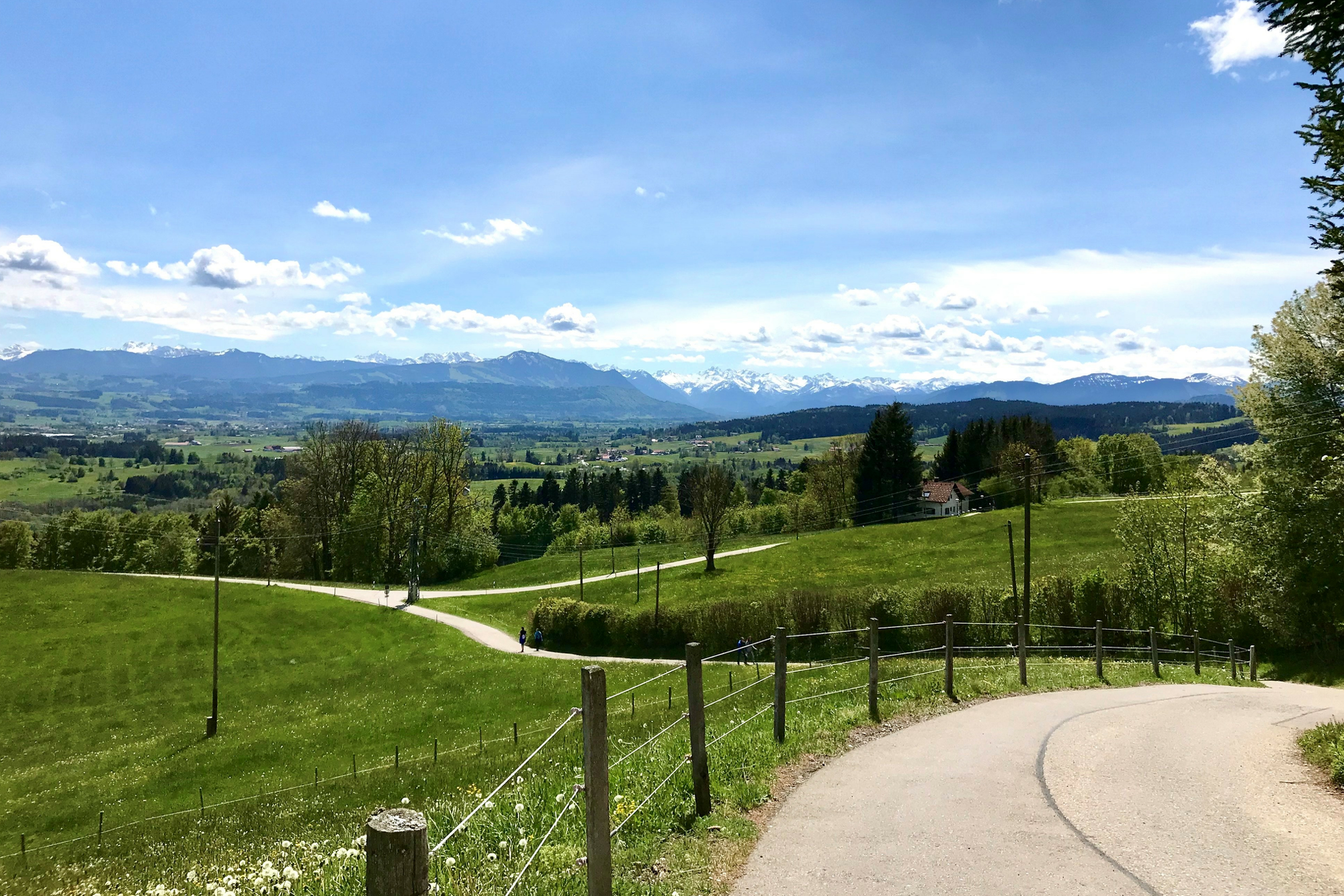 View from mariaberg to the alps