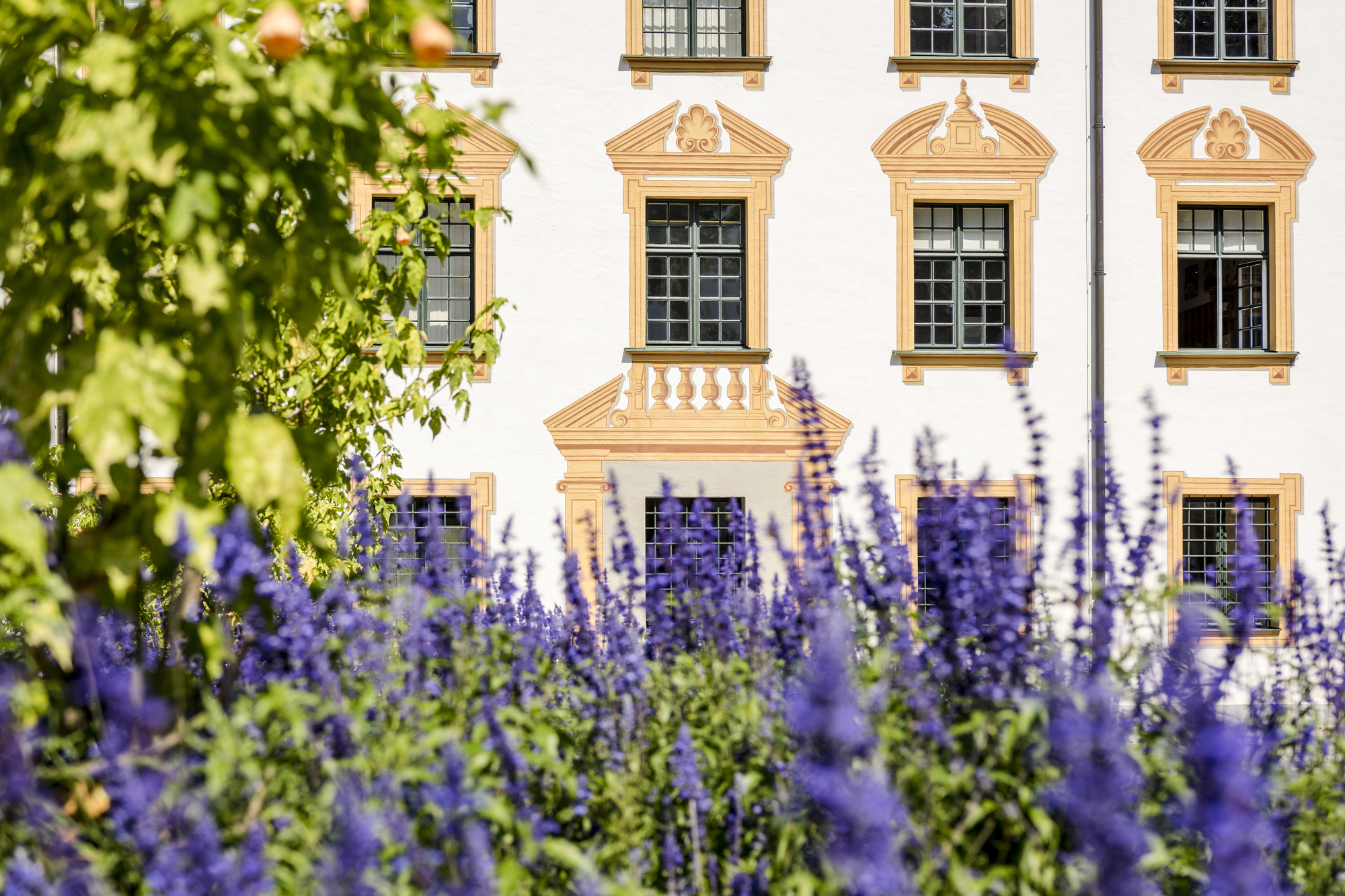 outside view of the residence in kempten with flowers in front