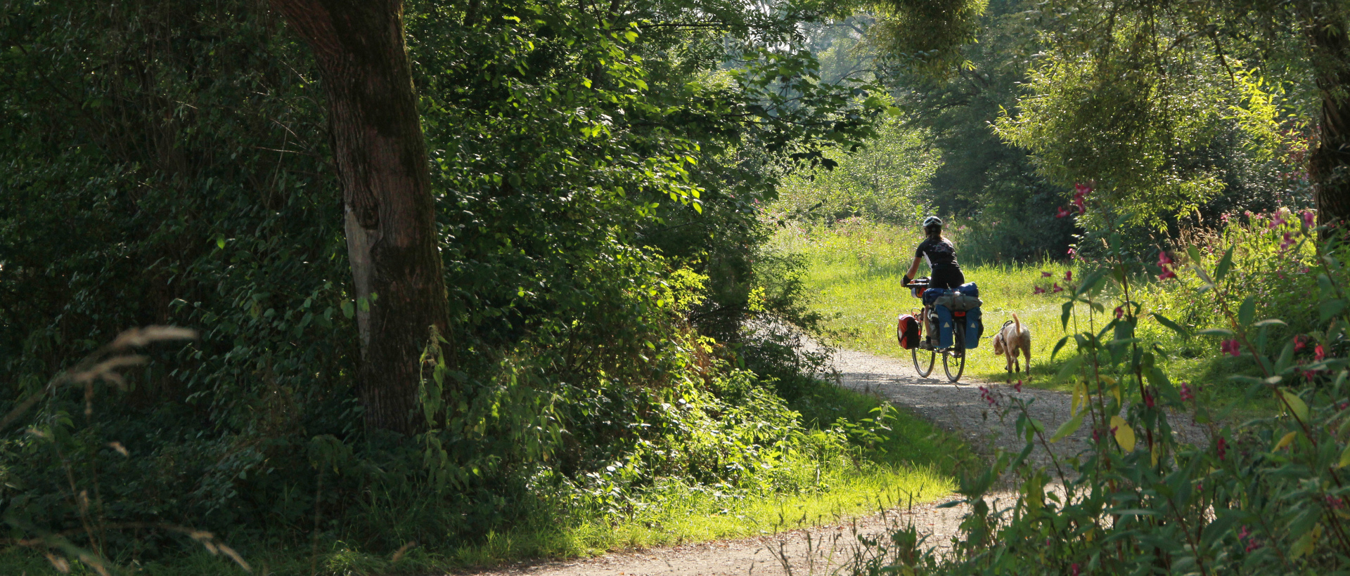 A woman on her bike and one dog among the the Munich Way of St. James