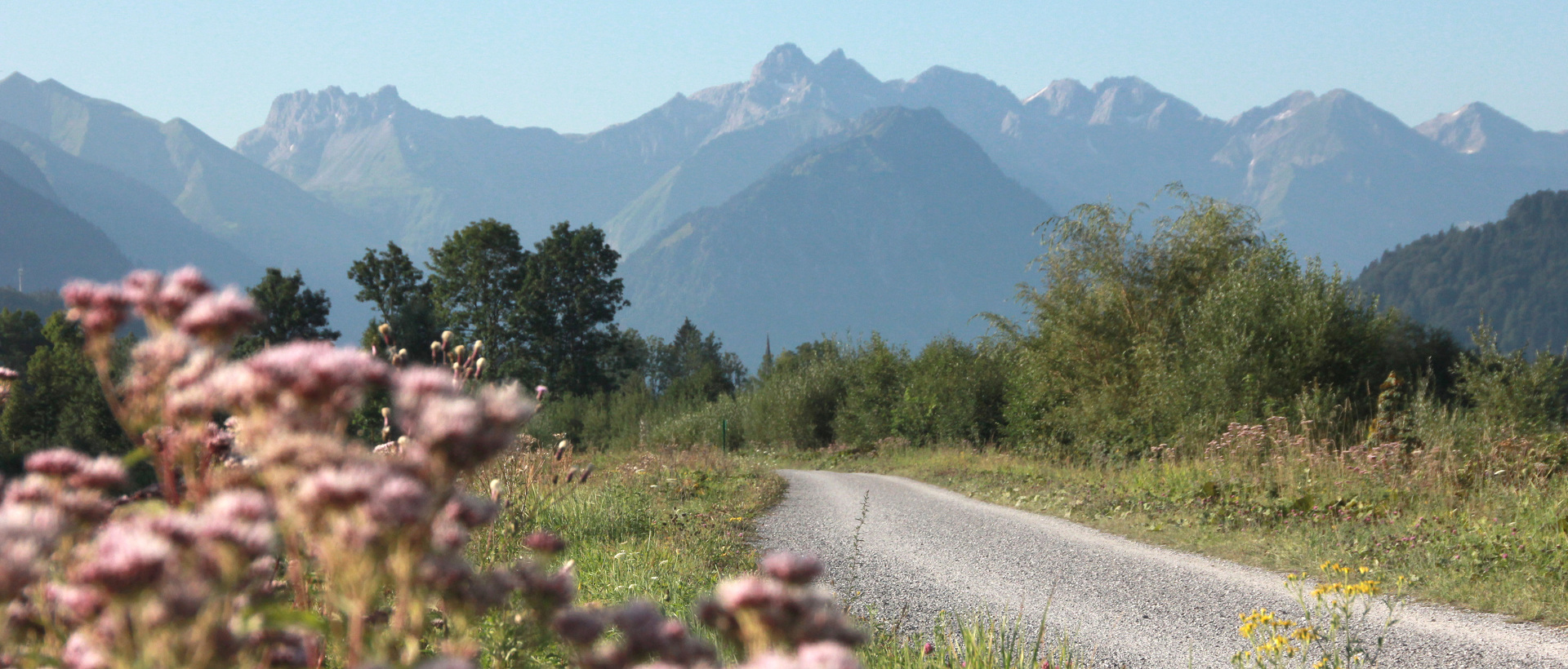 A cycle path with mountains in the background