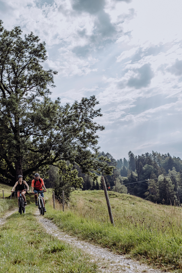 Mountain biking in Seeg in Allgäu © Allgäu GmbH, Martin Erd