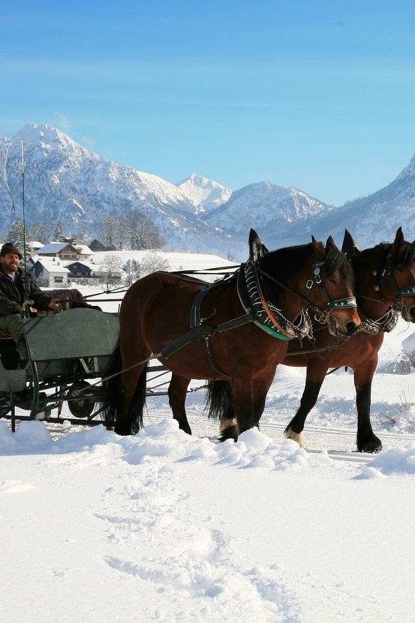 Horse sleigh ride © Füssen Tourismus Marketing