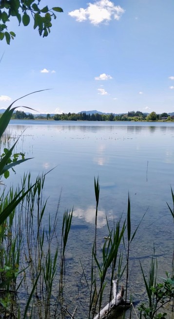 View of the Öschle lake