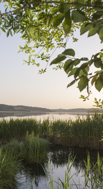 View of the Rottach reservoir