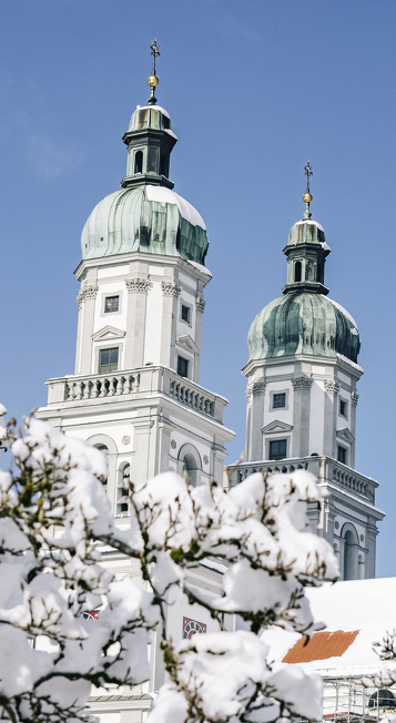 Snow-covered branches in front of the Basilica of St Lorenz