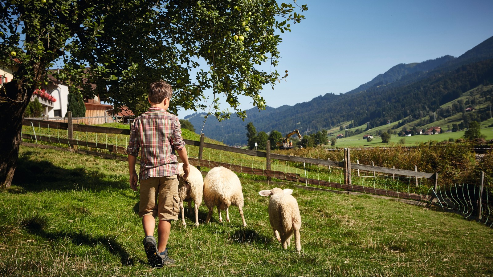 Familienurlaub auf dem Bauernhof mit Tieren in Immenstadt © Allgäu GmbH, Christoph Gramann - Wandern um Kempten