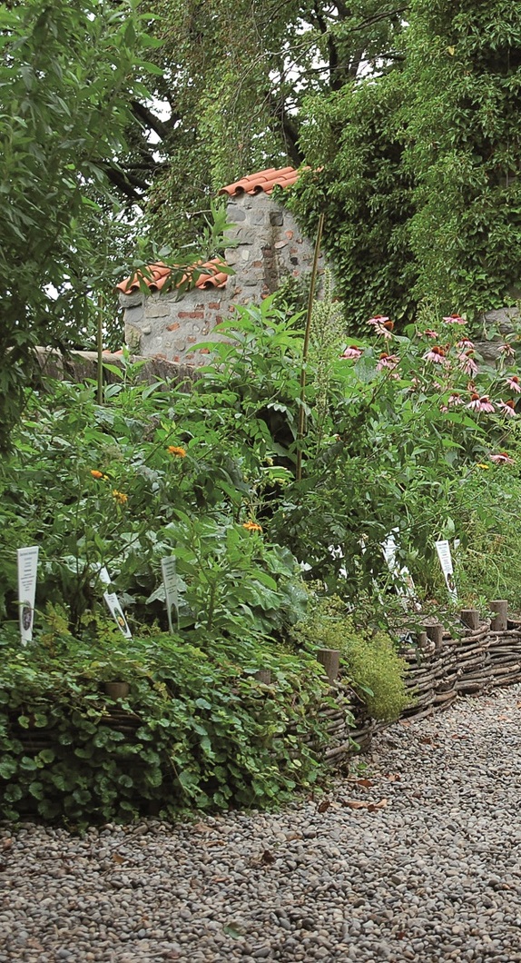 Der Duft- und Heilpflanzengarten auf der Burghalde Kempten