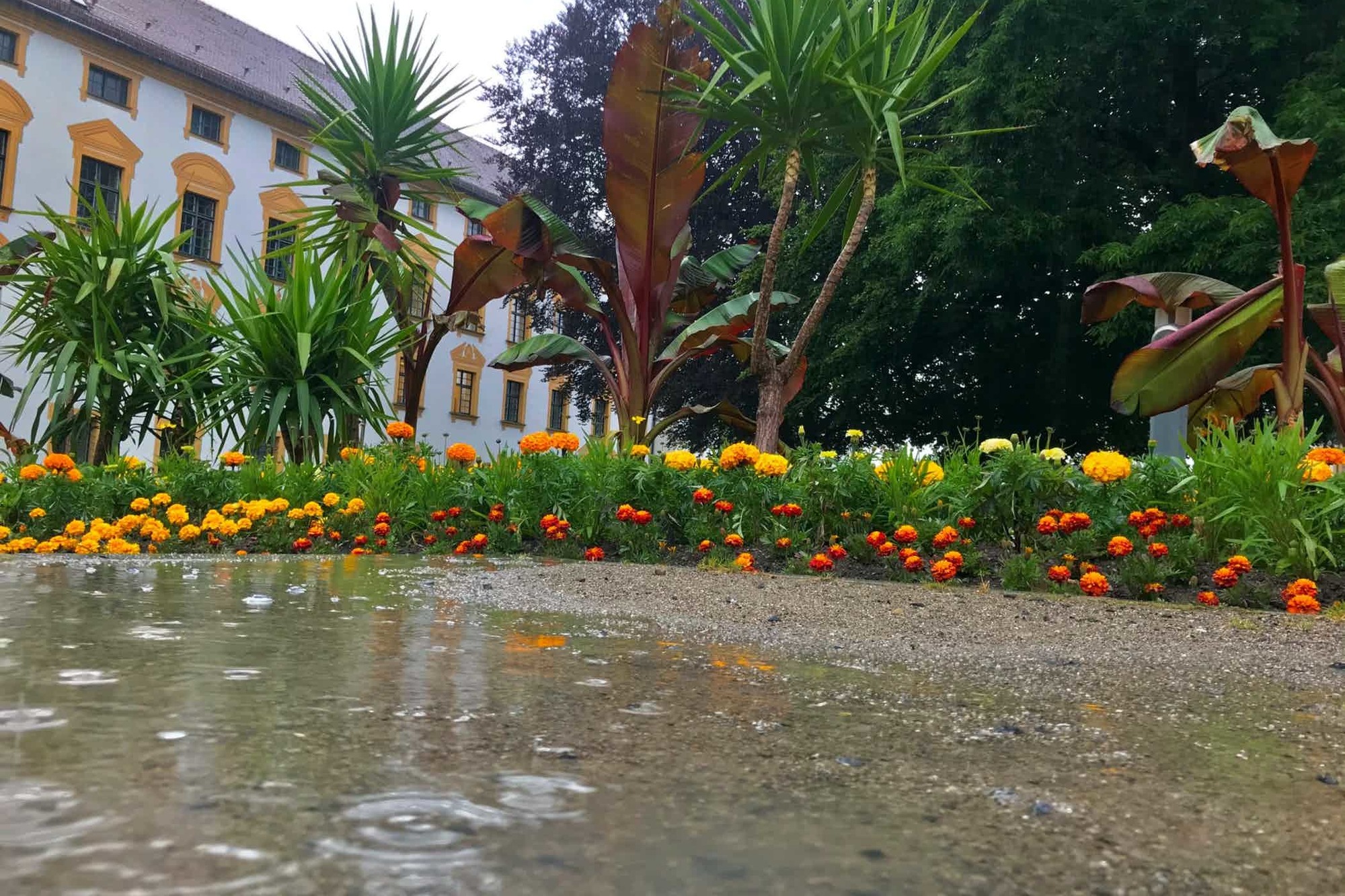 Eine Pfütze vor der Residenz in Kempten