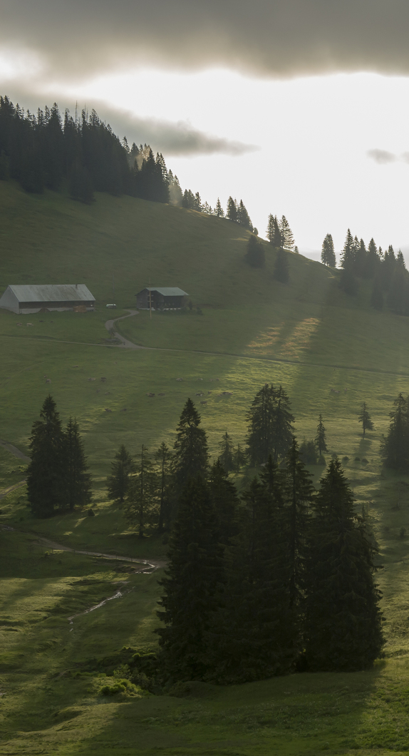 Die Alpe Mittelberg in Immenstadt © Klaus-Peter Kappest, Germany