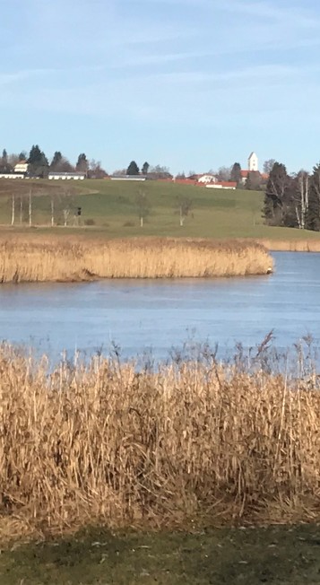 Blick auf den Herrenwieser Weiher