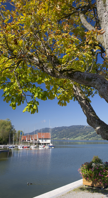 Großer und Kleiner Alpsee © Allgäu GmbH, Klaus-Peter Kappest