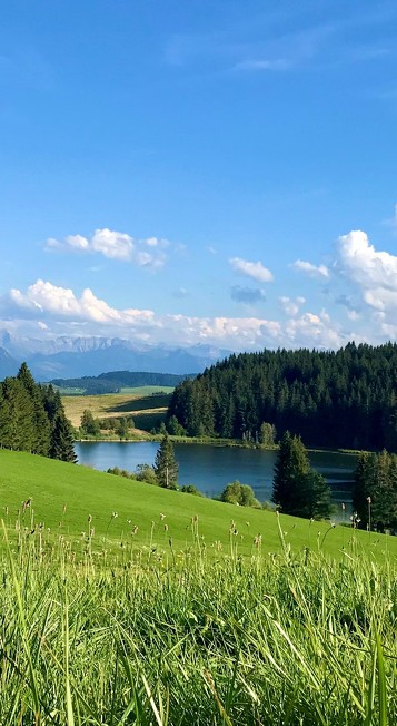 Blick auf den Eschacher Weiher