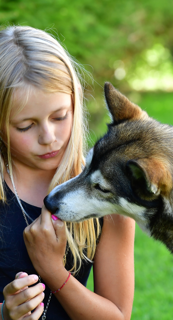 Husky Kuscheln ©Marina Brutscher