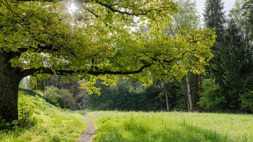 Naturlandschaft in Kempten