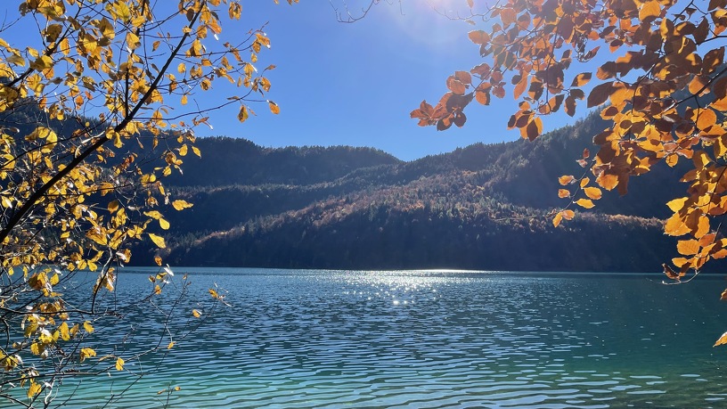 Herbststimmung am Alpsee