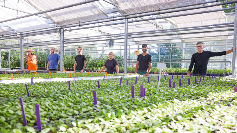 Das Team der Stadtgärtnerei posiert für ein Foto im Gewächshaus