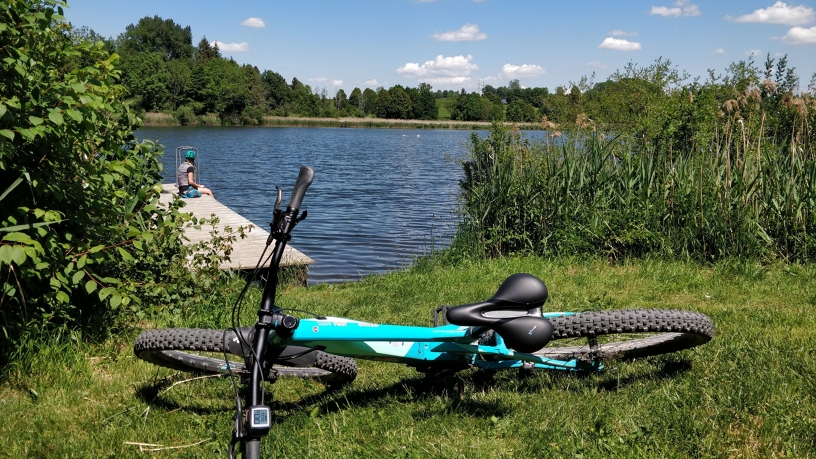 Fahrrad liegt auf einer Wiese am See.